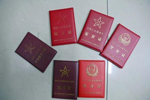 悠悠捕鱼